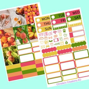 peach - Sticker Planner Kit, Mini Sticker Kit, Standard Vertical Kit, Planner Stickers, B6 Sticker Kit