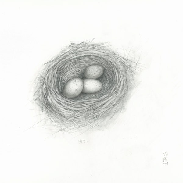 3 Eggs in a Nest Print