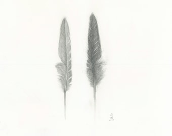 Two Bird Feathers Print