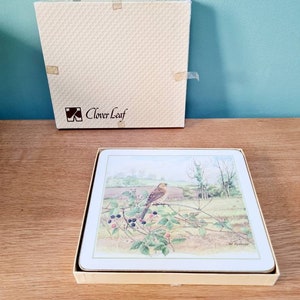 Vintage CLOVER LEAF brand set of 6 placemats - birds of Britain