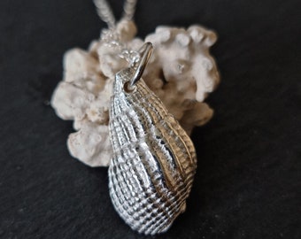 Silver Shell Necklace, Fine Silver Whelk Shell Necklace Pendant, Seaside Jewellery, Shell Jewellery, Beach Jewellery, Gift for her