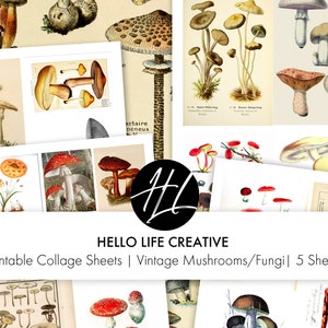 May include: Five printable collage sheets featuring vintage illustrations of mushrooms and fungi in various colors and styles. The sheets are perfect for crafting, scrapbooking, and adding a touch of nature to your projects.