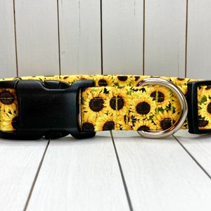 Floral Dog Collar, Handmade, Fabric Covered Nylon Webbing Core Sunflowers image 2