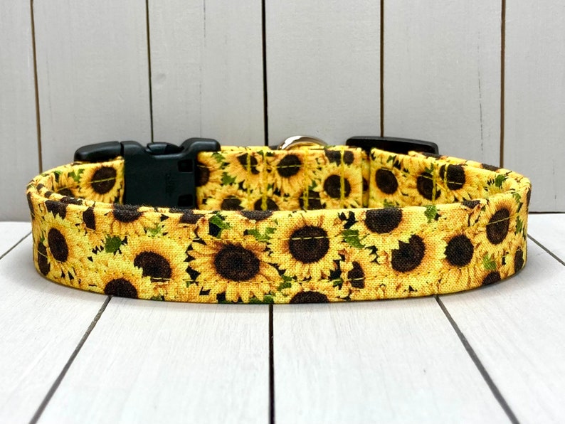 Floral Dog Collar, Handmade, Fabric Covered Nylon Webbing Core Sunflowers image 6