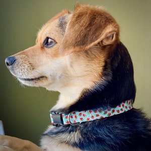 Striped Dog Collar, Handmade, Fabric Covered Nylon Webbing Core Blue Stripes image 4