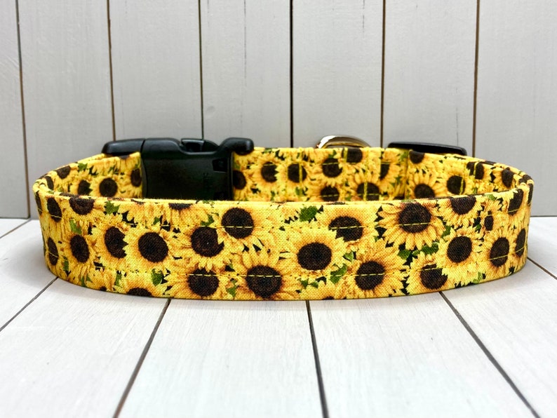 Floral Dog Collar, Handmade, Fabric Covered Nylon Webbing Core Sunflowers image 1