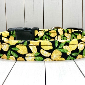 Summer Dog Collar, Handmade, Fabric Covered Nylon Webbing Core ~ Black Lemons