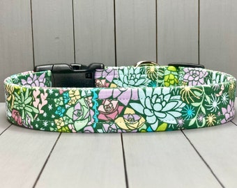 Succulent Dog Collar, Handmade, Fabric Covered Nylon Webbing Core ~ Dark Green Cactus