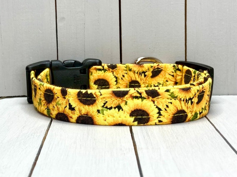 Floral Dog Collar, Handmade, Fabric Covered Nylon Webbing Core Sunflowers image 5