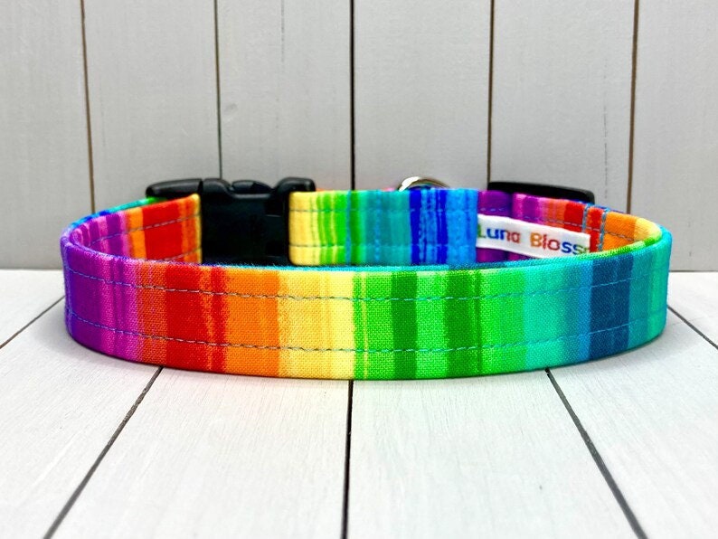 Rainbow Dog Collar, Handmade, Fabric Covered Nylon Webbing Core Rainbow Stripe image 1