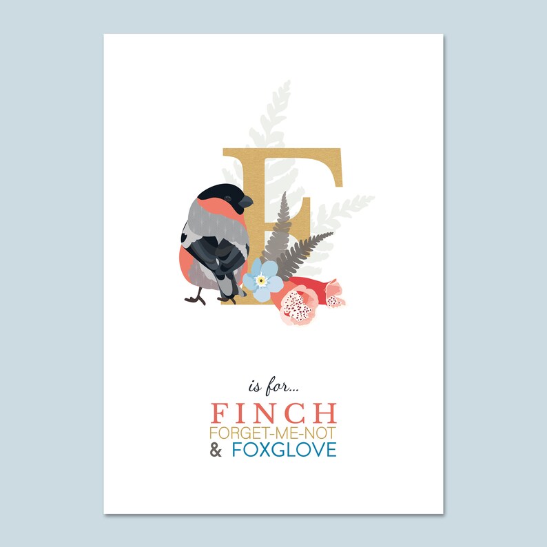 Finch, British Wildlife Art Print - Etsy