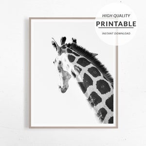 Giraffe Print, Giraffe Digital Art, Black And White, BW Animal Print, Animal Photography, Minimalist Wall Print, Animal Decor, Digital Print