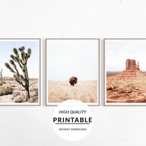 Set 3 Print Desert, Landscape Set Of 3, Set Boho Print, Boho Gallery Set, Southwestern Print, Camper Van Print, Poster Bundle, Bundle Print