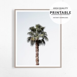 Palm Tree Print, Palm Tree Art, Boho Printable, Instant Download, Desert Tree Print, Coconut Poster, Palm Tree Poster, Digital Print