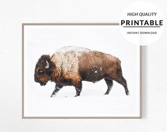 Bison Wall Art, Buffalo Wall Art, Wilderness Photography, Farm House Print, Farmhouse Decor, Animal Poster, Digital Prints, Buffalo Prints