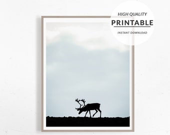 Deer Print Stag Print Deer Poster Nature Photography Forest Animal Wall Art Stag Wall Art Animal Art Print Deer Photo Wall Decor