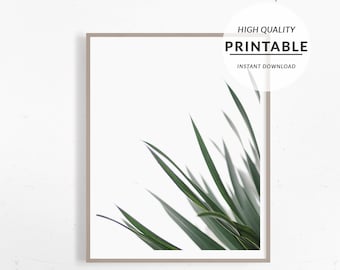 Palm Leaf Print  Palm Leaf Wall Art  Palm Photography Printable Digital    Plant Photo  Palm Tree Print Digital Download Print
