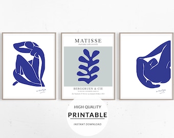 Set di 3 Poster Matisse, Poster Matisse, Poster Di Matisse, Tratto disegno, Triptic Abstract Art, Triptique Matisse, Poster del Museo