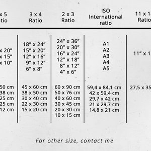 May include: A white chart showing print sizes in inches and centimetres. Sizes include 16" x 20" (40 x 50 cm), 12" x 15" (30 x 38 cm), and 8" x 10" (20 x 25 cm). The chart also lists ISO ratios and text: "For other size, contact me".