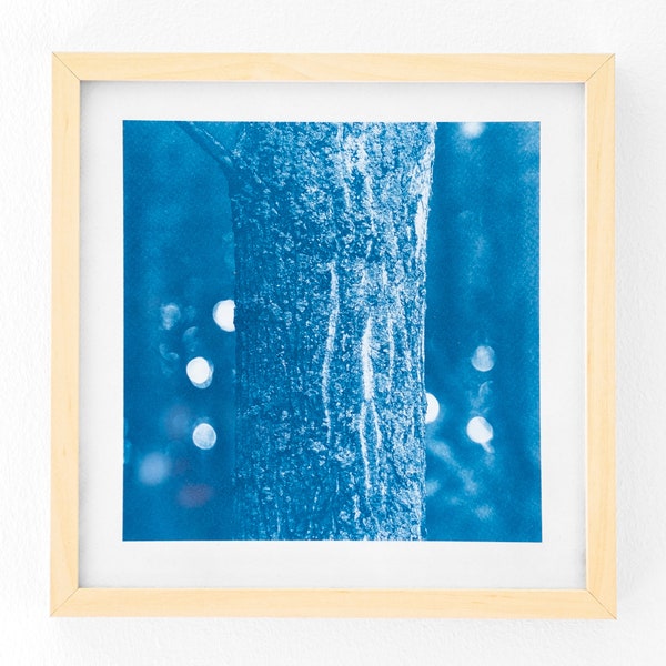 Geometric Nature - Square No. 2., Blue Tones, Nature Scene, Wall Art, Handmade Cyanotype Print on Watercolor Paper, Limited Edition, 2023