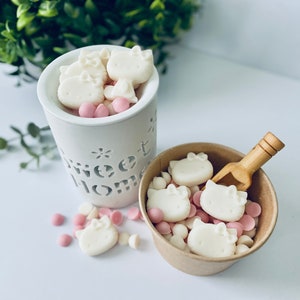 Wax melts, Wax melts for warmer, Handmade Wax Melts for Warmer, 100% Soy Wax Melt, Soy Wax Melt, Soy Wax Melts, Cute Wax melts