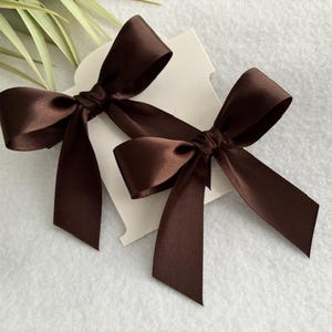May include: Two brown satin ribbon bows with long tails, displayed on a white card.