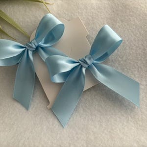 May include: Two light blue satin bows tied together on a white card.