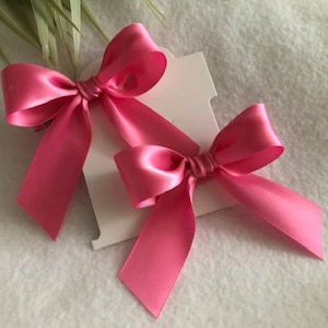 May include: Two bright pink satin bows, each with long, flowing tails, are displayed against a white background. The bows are attached to small white tags. The bows are a vibrant, eye-catching accessory.