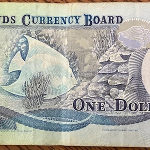 Könnte beinhalten: Ein Ein-Dollar-Schein der Cayman Islands mit einem Unterwassermotiv. Die Banknote zeigt einen Fisch, Korallen und den Text "One Dollar". Das Design enthält den Text "Cayman Islands Currency Board" oben und das Währungssymbol $1 an mehreren Stellen.