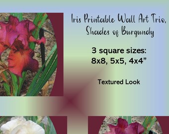 Iris Wall Art Trio - Burgundy | Wall Decor | Square | Printable | Electronic Delivery | 3 Sizes | Shades of Burgundy |