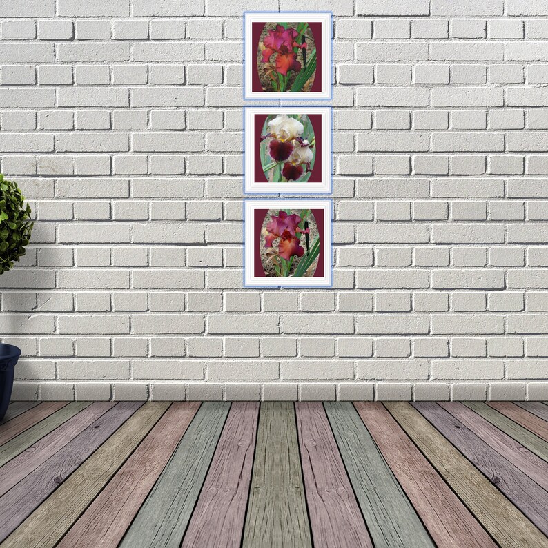 Iris Wall Art Trio Burgundy Wall Decor Square Etsy