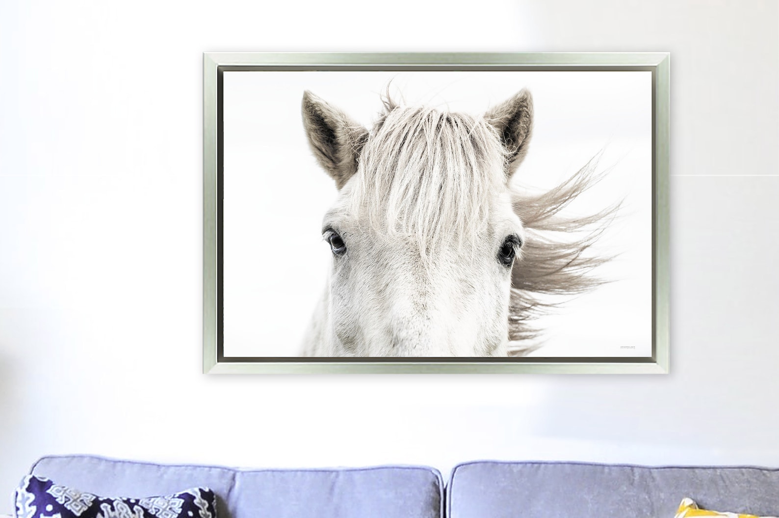 White Horse Head Photography Canvas or framed print wall art Etsy
