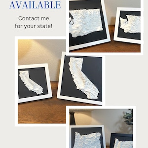 Your Topographic State Art Wall Decor Map Display Home Office Geography Gift State Pride Wall Decoration Elevation Map Custom Design