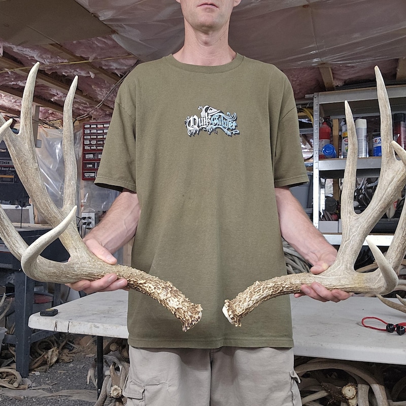 Antler Rack - Etsy