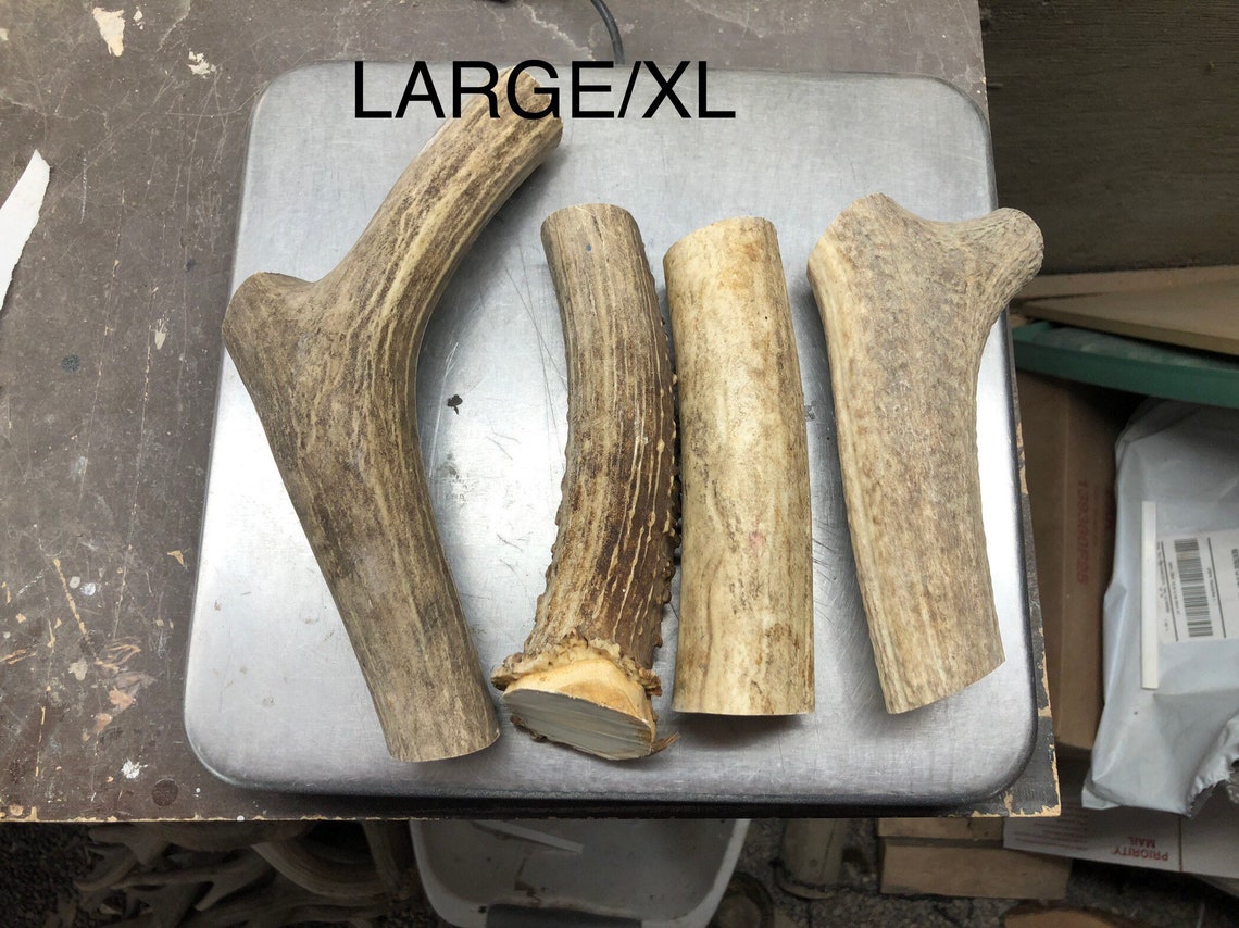 Elk and deer antler natural dog chews Etsy