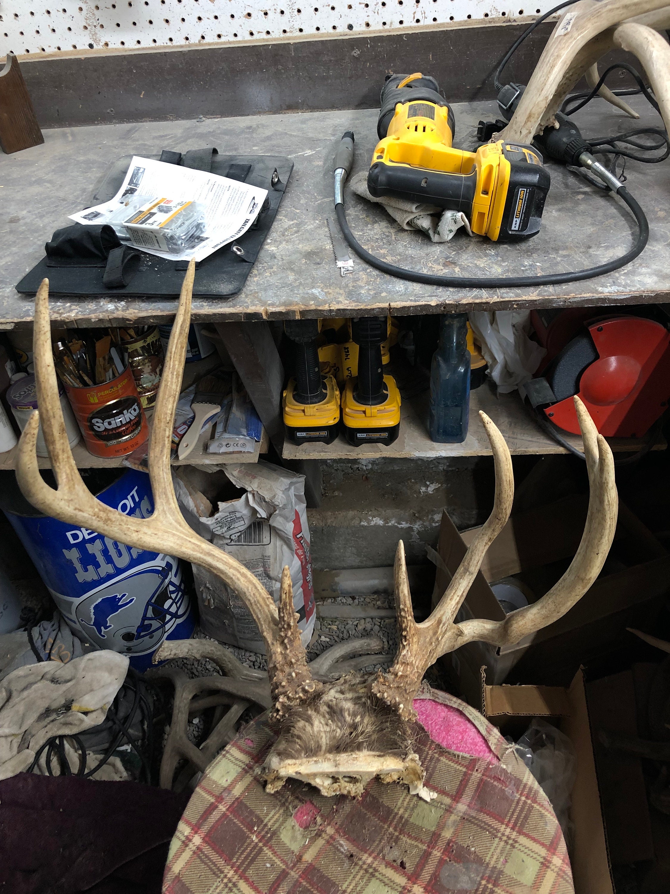 Funky Brown Mule Deer Rack - Etsy