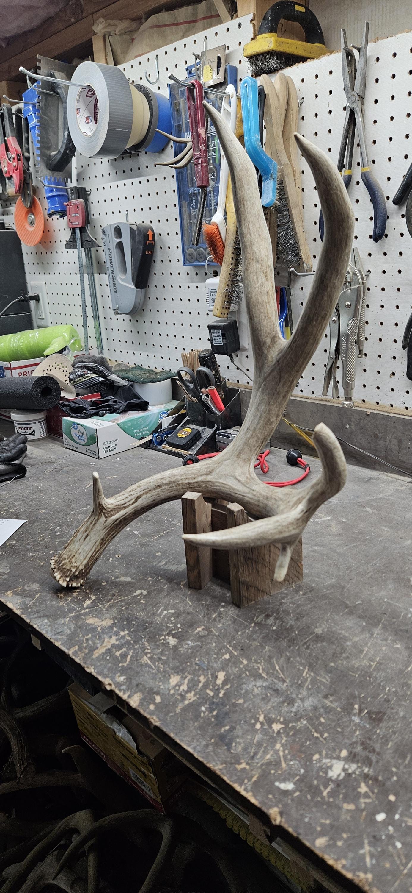 Huge 80 Mule Deer Shed Antlers Rack - Etsy
