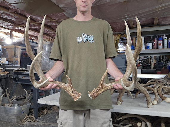 Largest Mule Deer Rack