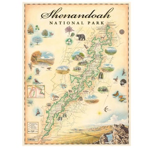 Affiche de carte dessinée à la main du parc national de Shenandoah - Authentique impression art-lithographique murale de style vintage 18 x 24 avec des encres à base de soja - Made in USA