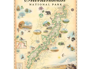 Affiche de carte dessinée à la main du parc national de Shenandoah - Authentique impression art-lithographique murale de style vintage 18 x 24 avec des encres à base de soja - Made in USA