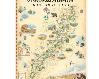 Póster de mapa dibujado a mano del Parque Nacional Shenandoah – Auténtico arte de pared de estilo vintage de 18 x 24 – Impresión litográfica con tintas a base de soja – Hecho en Estados Unidos