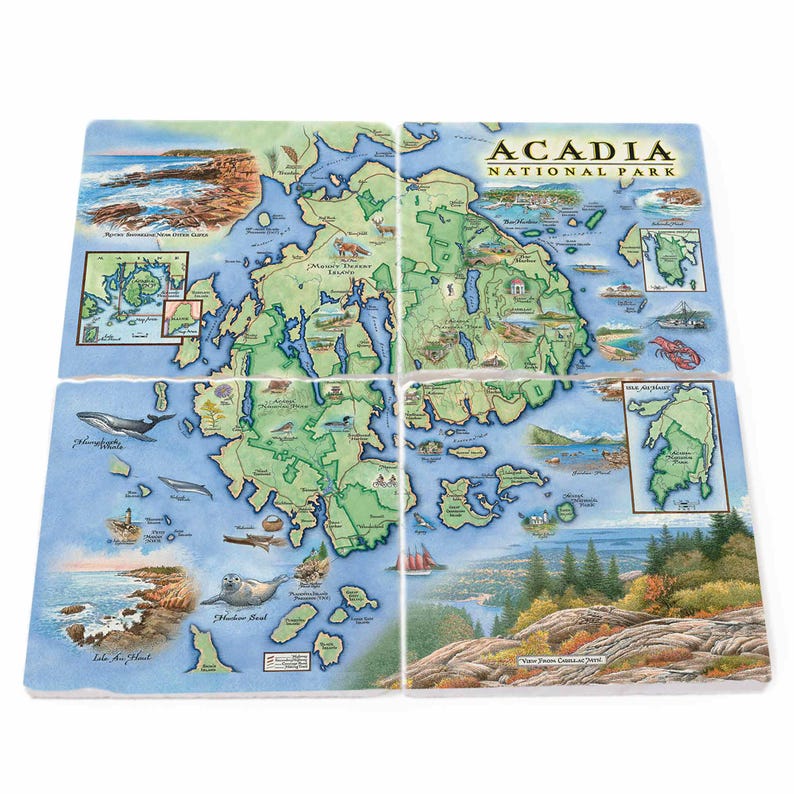 XPLORER MAPS Acadia National Park Map Coasters