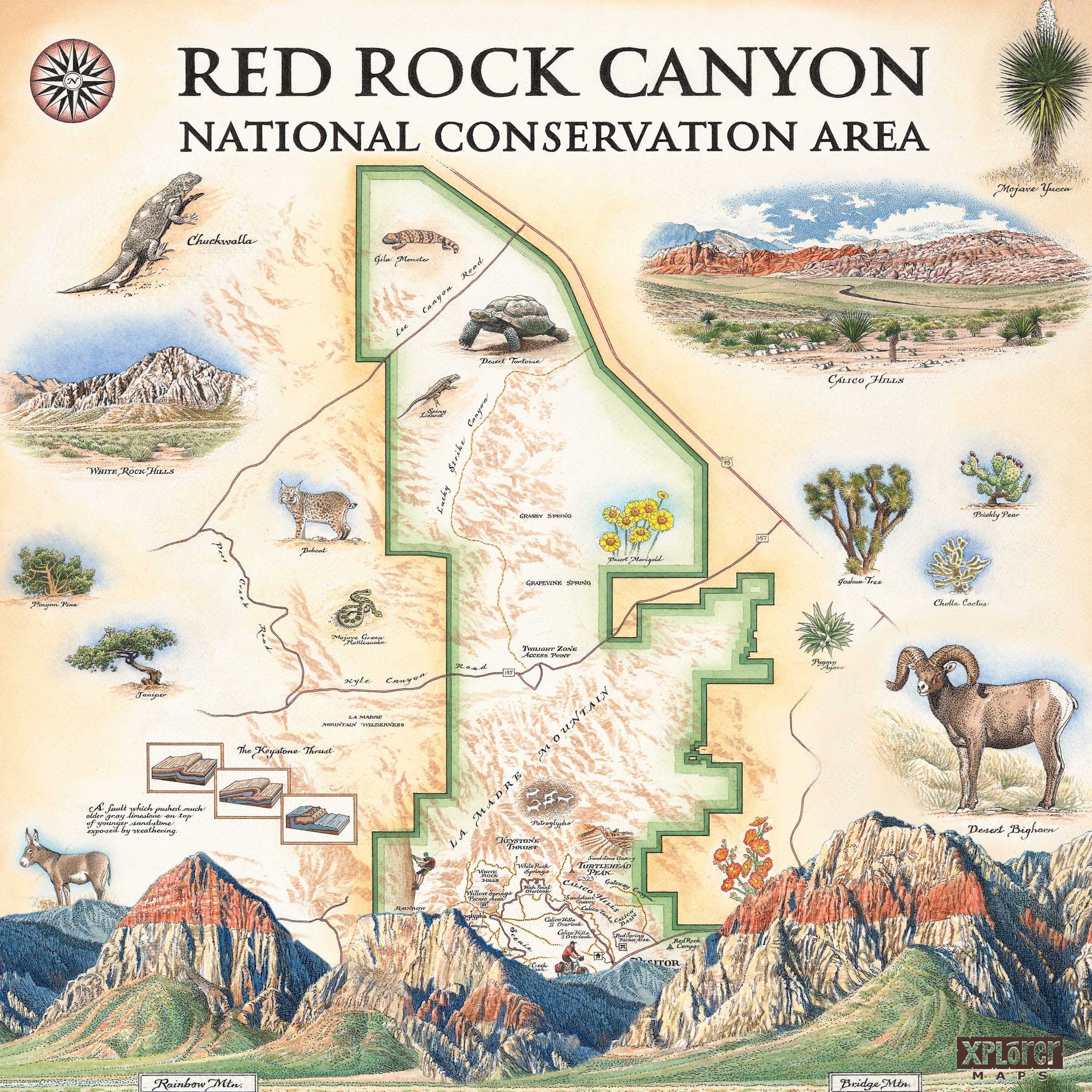 Red Rock Canyon National Park Map Ceramic Coaster Highly | Etsy