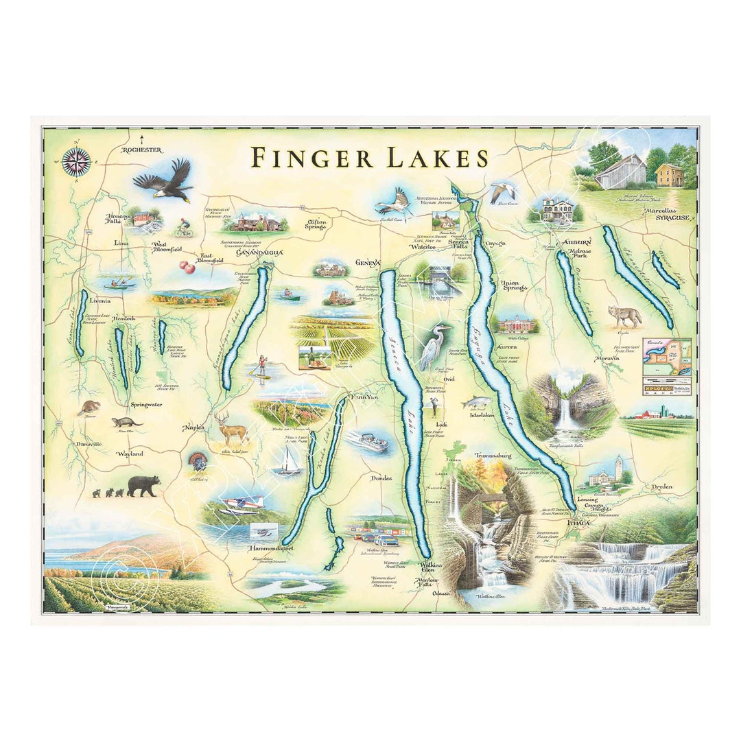 Finger Lakes Handdrawn Map Poster Authentic 24x18vintagestyle