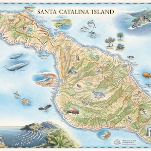 Affiche de carte dessinée à la main de l’île de Santa Catalina| Authentique style vintage 24x18| Impression lithographique avec des encres à base de soja| Fabriqué aux États-Unis| Couleurs neutres