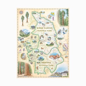 carte dessinée à la main Sequoia and Kings | Authentique oeuvre d'art murale de style vintage 18 x 24 - Impression lithographique avec des encres à base de soja - Fabriqué aux États-Unis