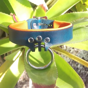 Single Ring Formal Collar - &quot;Auburn&quot;