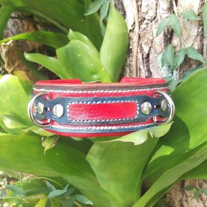 Two-Ring Leather Collar - &quot;Patriot&quot;