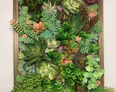 Succulent Vertical Garden Wall Art Hanging Planter Hard Wood Framed Plants Indoor Outdoor Decor Modern Rustic Boho Faux Succulents