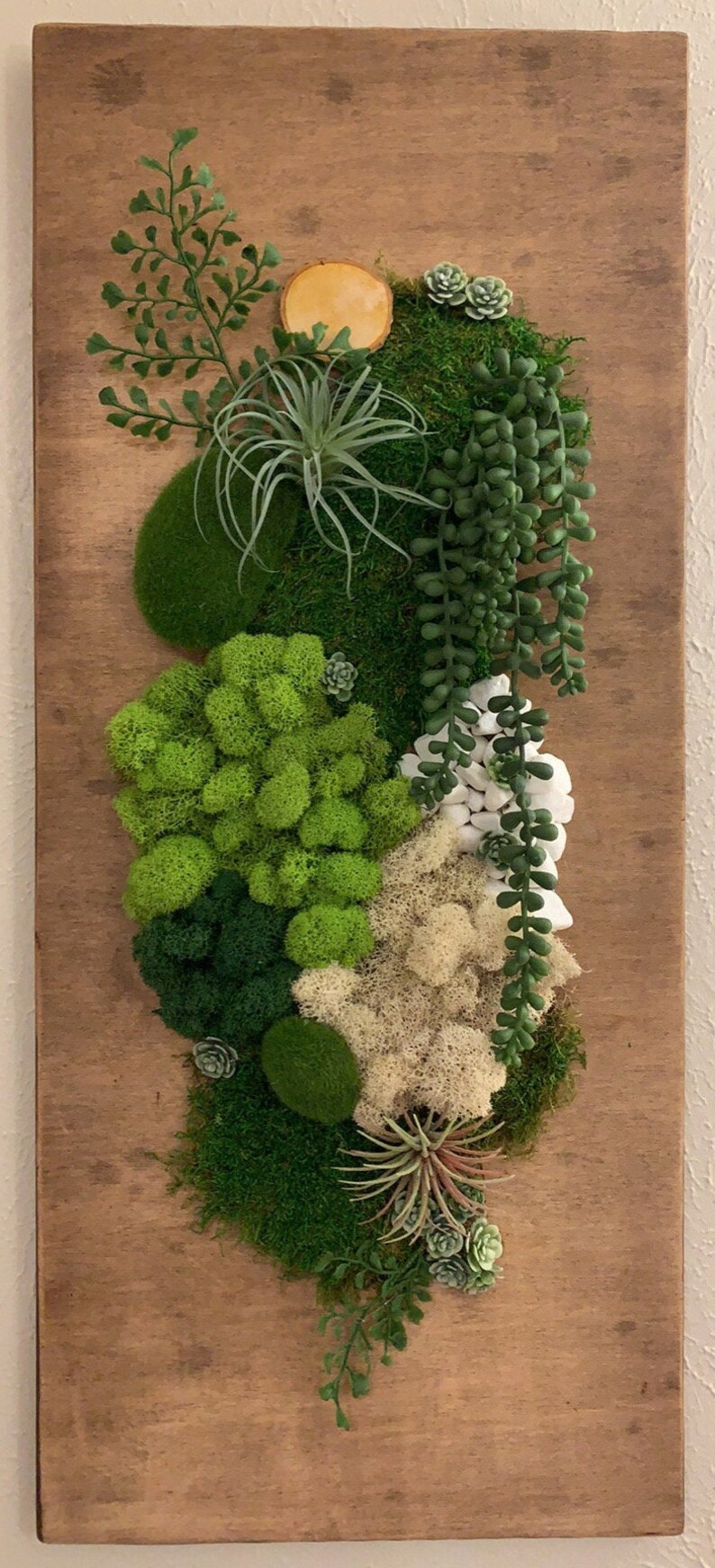 Vertical Garden Succulent Moss Wall Art Hanging Living | Etsy